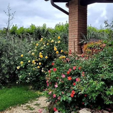 Frühstückspension Il Viandante Guardea Umbria 3*