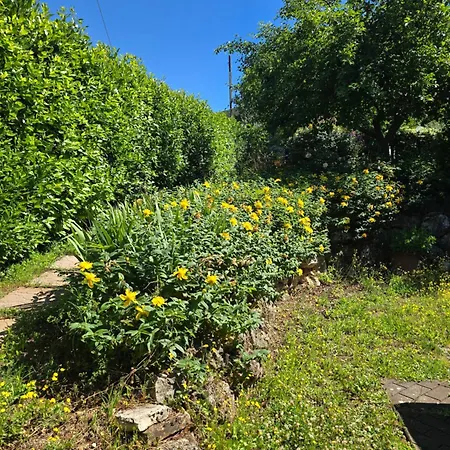 Il Viandante Guardea Umbria 3* Cocciano