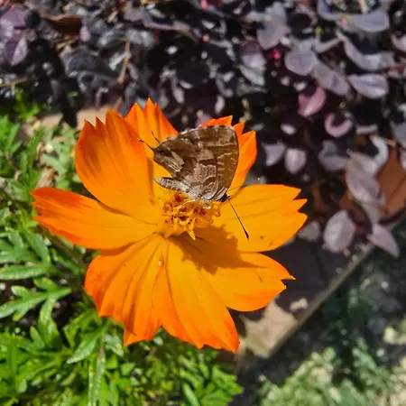 Frühstückspension Il Viandante Guardea Umbria
