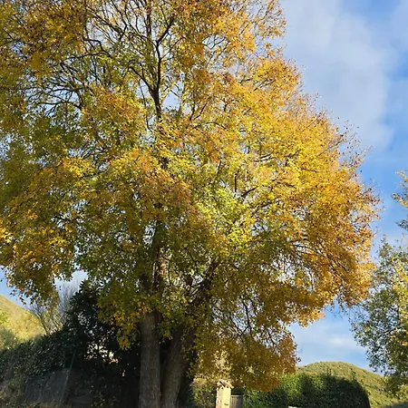 Frühstückspension Il Viandante Guardea Umbria 3*